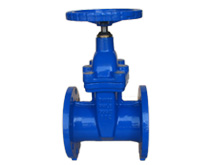 铜压盖软密封闸阀