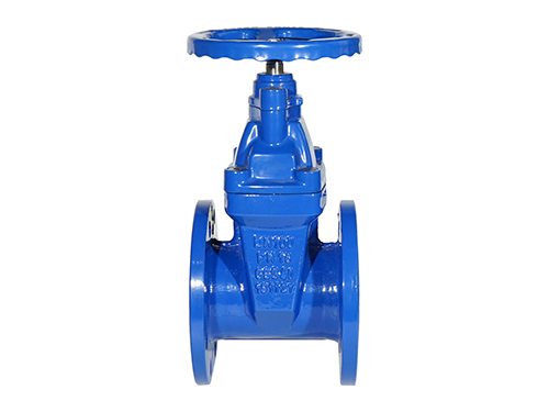 国标暗杆软密封闸阀